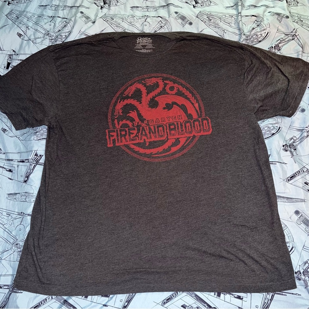 Game of Thrones Targaryen Fire and Blood Men's Gray T-Shirt